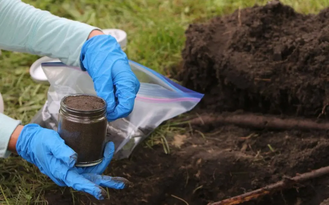 NAACP Statement on Birmingham, Alabama’s Right to Clean Soil and a Healthy Environment