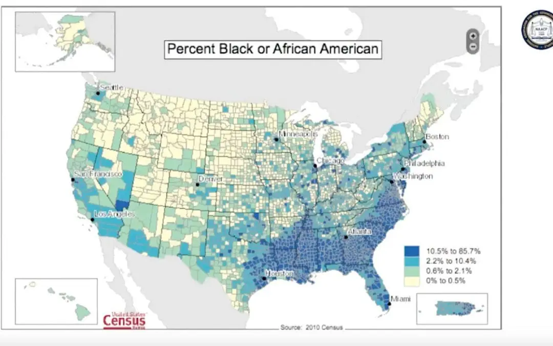 Watch Webinar Session 2: Mobilizing Voters for the Midterms