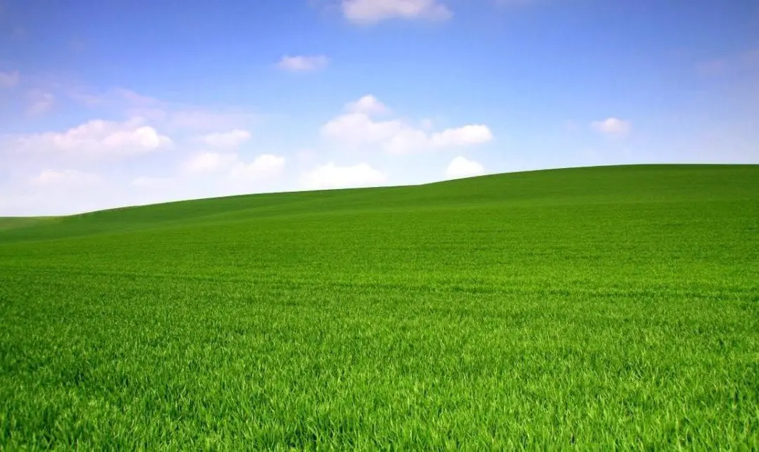 NAACP | What Do Clean Air, COVID-19, and Earth Day Mean to Me