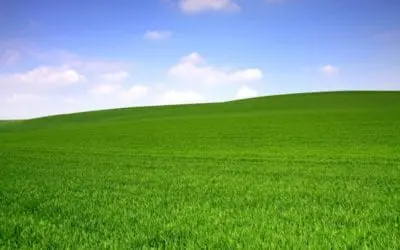 NAACP | What Do Clean Air, COVID-19, and Earth Day Mean to Me