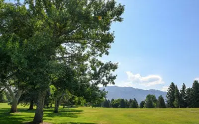 NAACP | What Do Clean Air, COVID-19, and Earth Day Mean to Me?