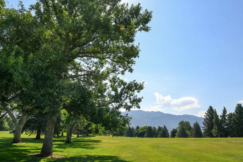 NAACP | What Do Clean Air, COVID-19, and Earth Day Mean to Me?