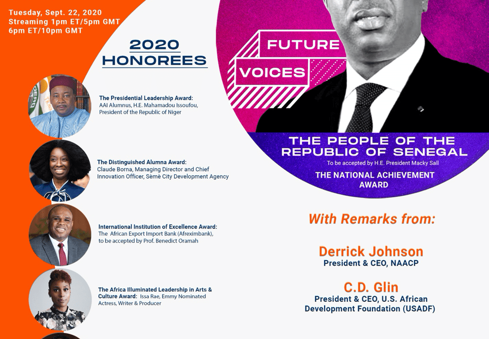 Africa-America Institute - Gala Graphic