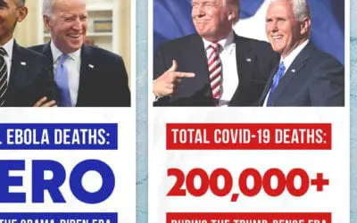 The Spread of Disinformation and How We Respond