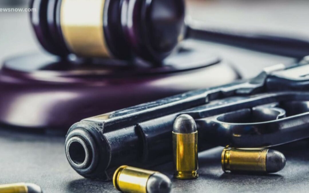 High Point NAACP Advocates Sensible Gun Legislation ~ “Here We Go Again”
